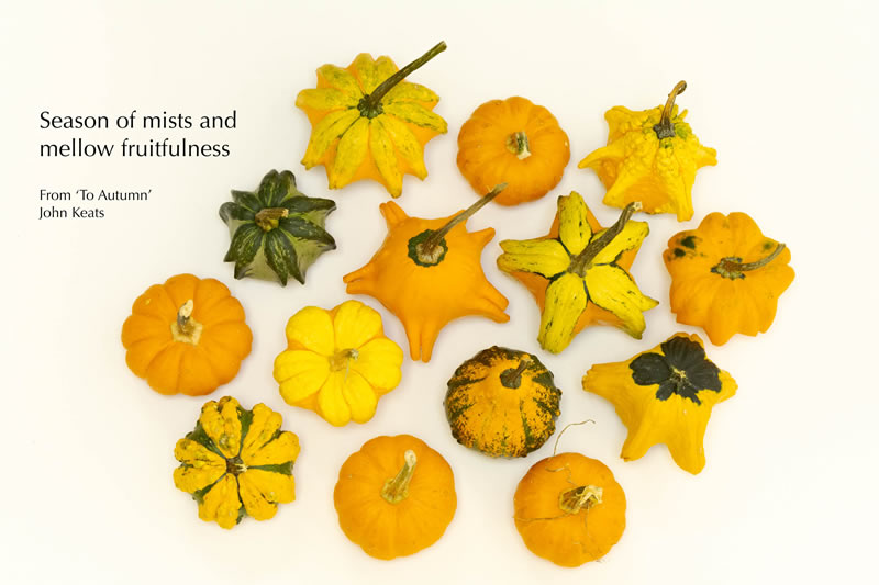 Seasons by Sherry Helwer